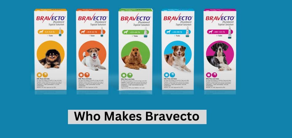 Who Makes Bravecto