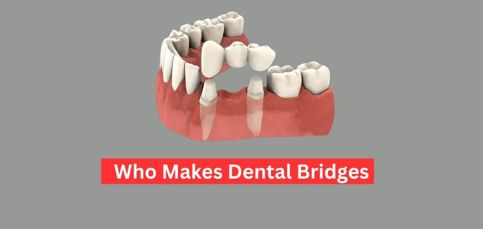 Who Makes Dental Bridges