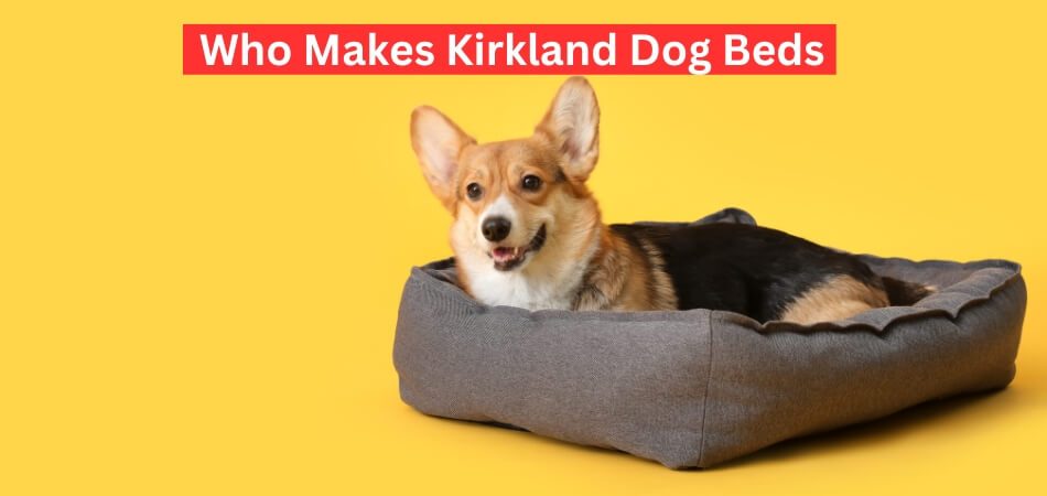 Who Makes Kirkland Dog Beds