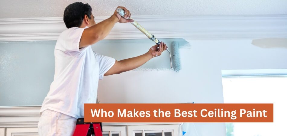 Who Makes the Best Ceiling Paint