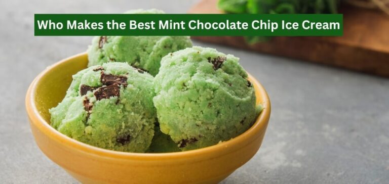 Who Makes the Best Mint Chocolate Chip Ice Cream