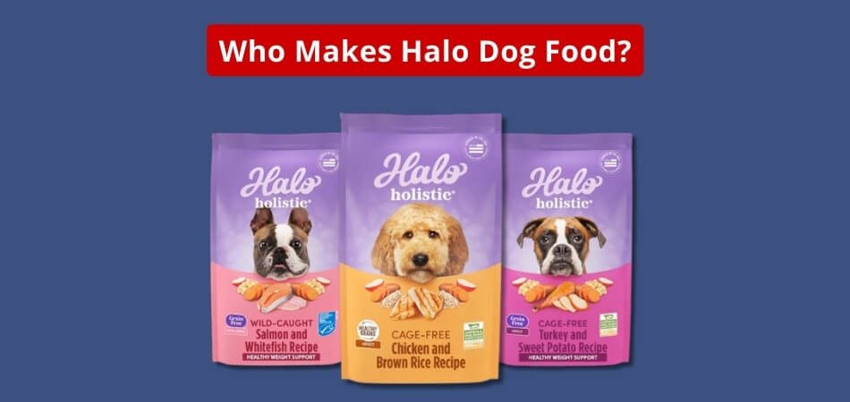 Who Makes Halo Dog Food