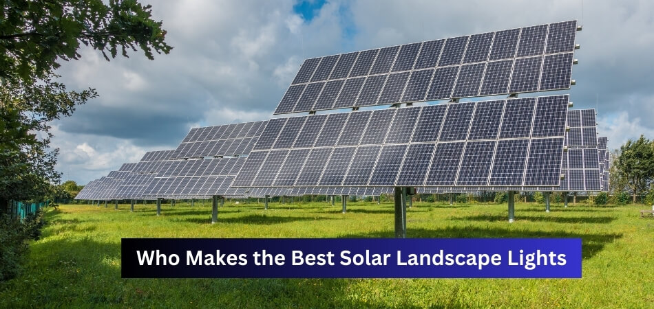 Who Makes the Best Solar Landscape Lights