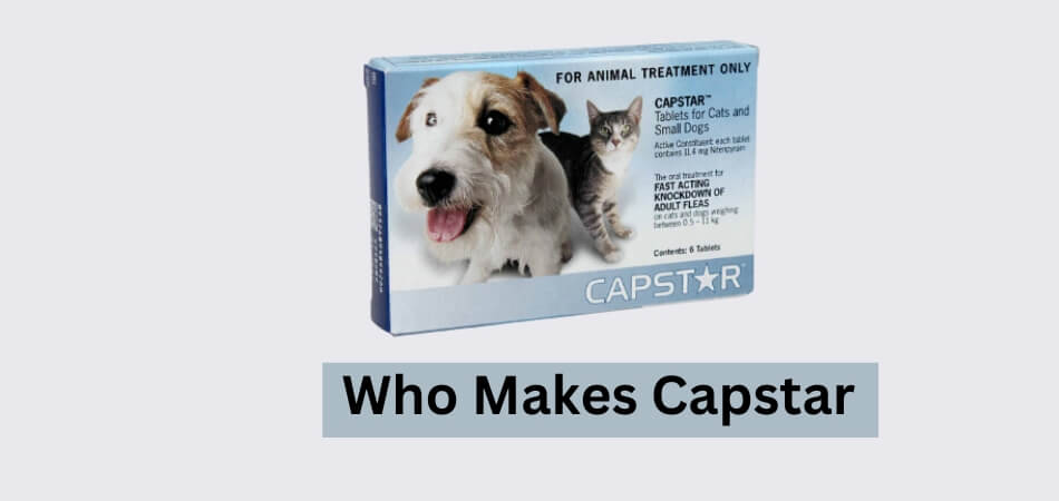 Who Makes Capstar