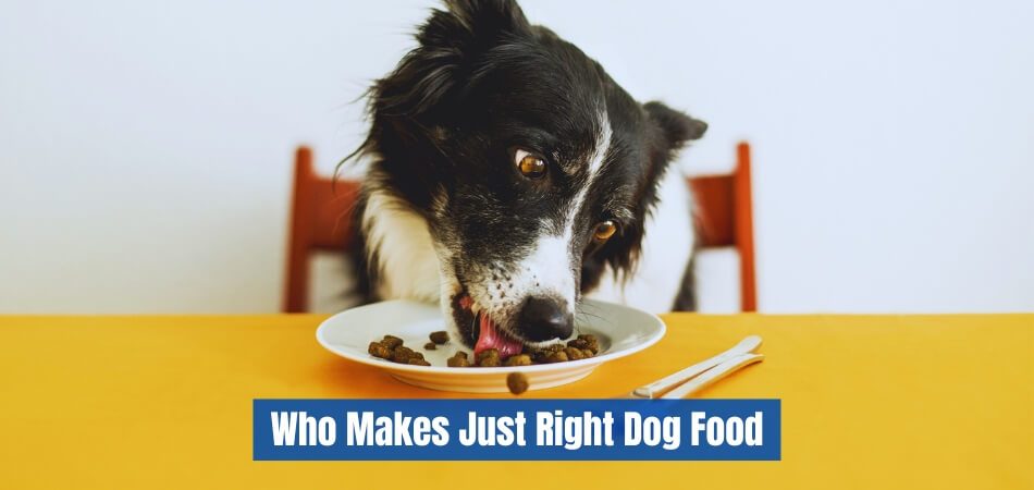 Who Makes Just Right Dog Food