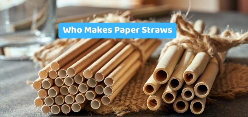 Who Makes Paper Straws