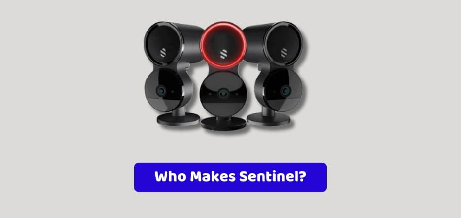 Who Makes Sentinel?