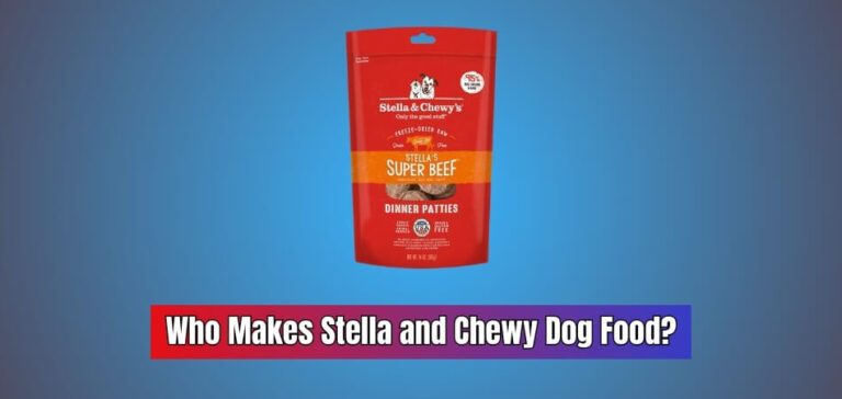 Who Makes Stella and Chewy Dog Food