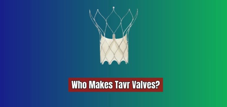 Who Makes Tavr Valves