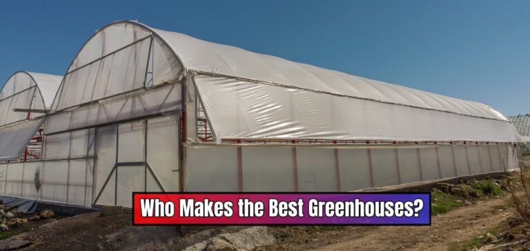 Who Makes the Best Greenhouses